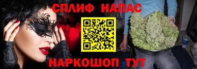 гидра Гусиноозёрск