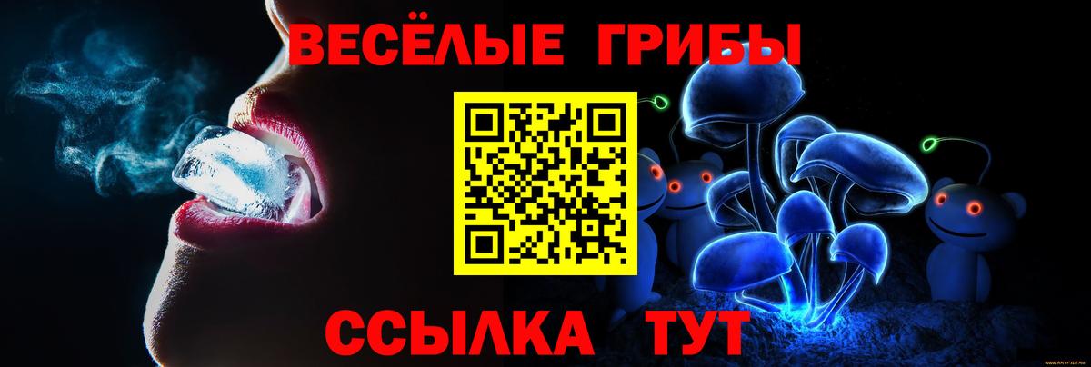 Псилоцибиновые грибы ЛСД  купить наркоту  Краснознаменск  Вход с VPN 